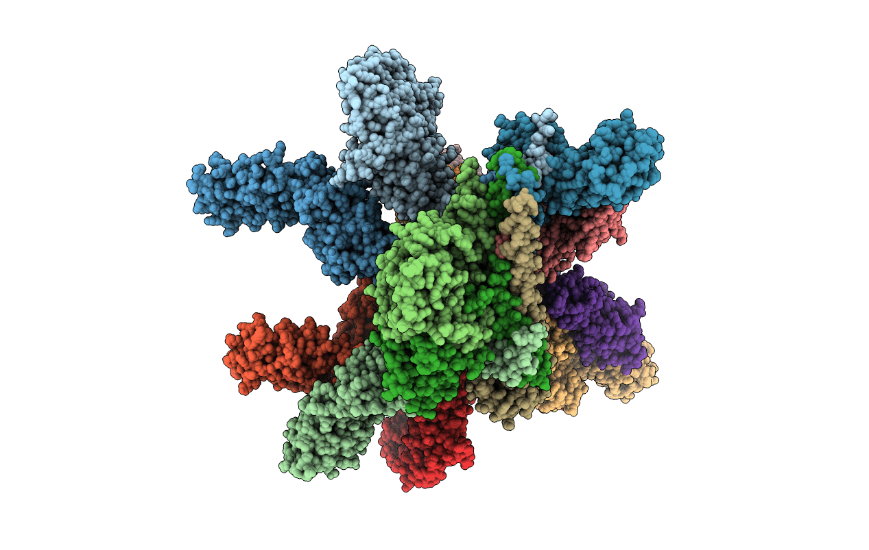 4D10 image