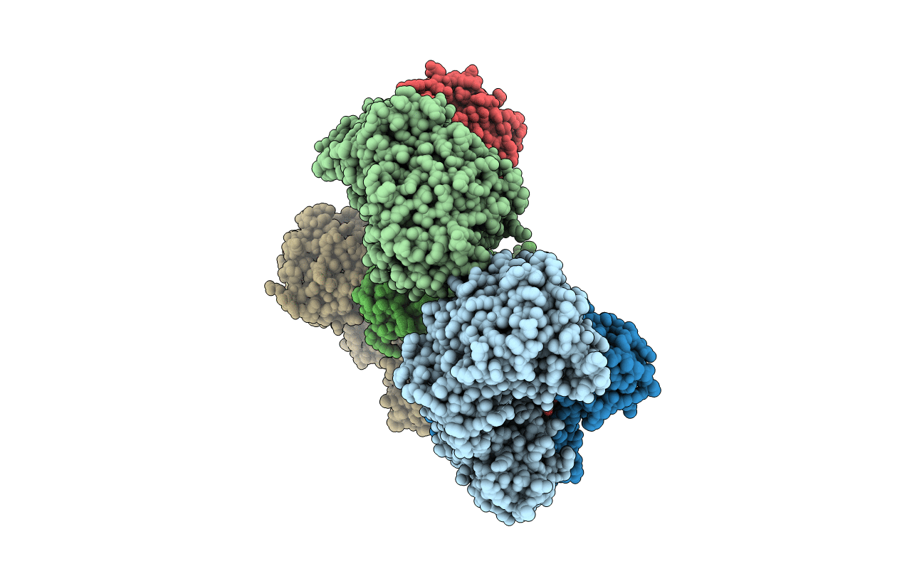 4D11 image