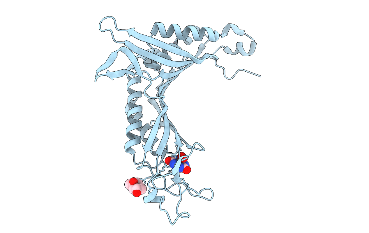 4D19 image