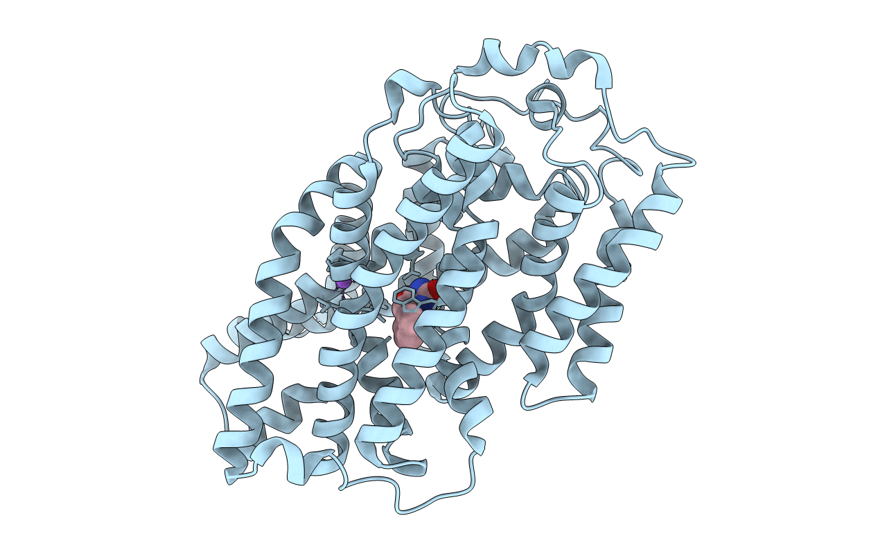 4D1B image