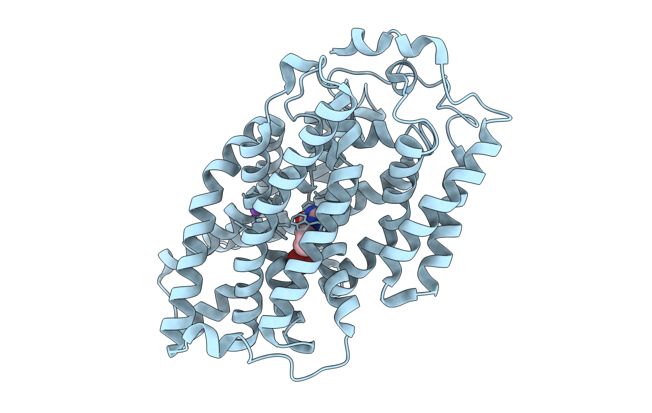 4D1C image