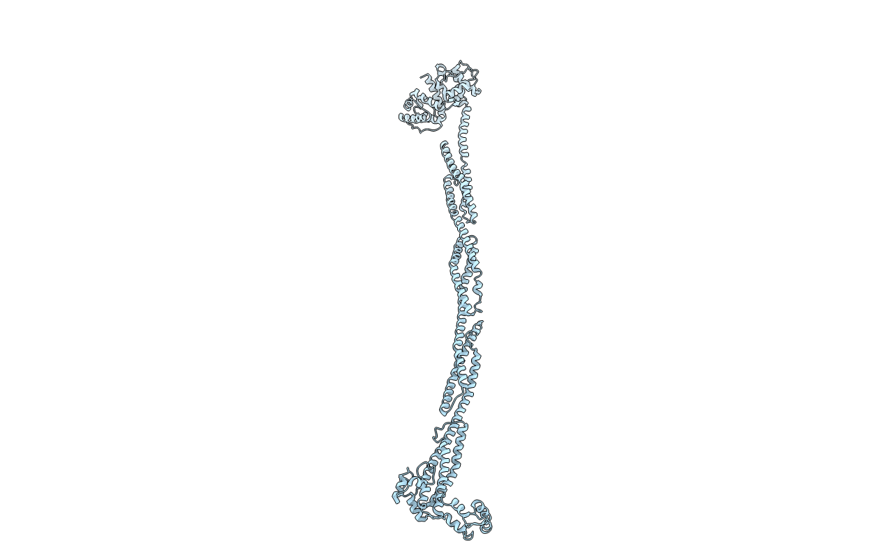 4D1E image