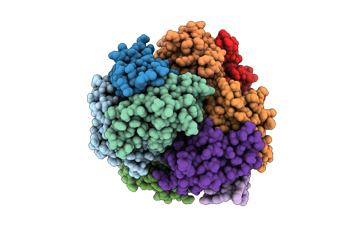 4D1F image