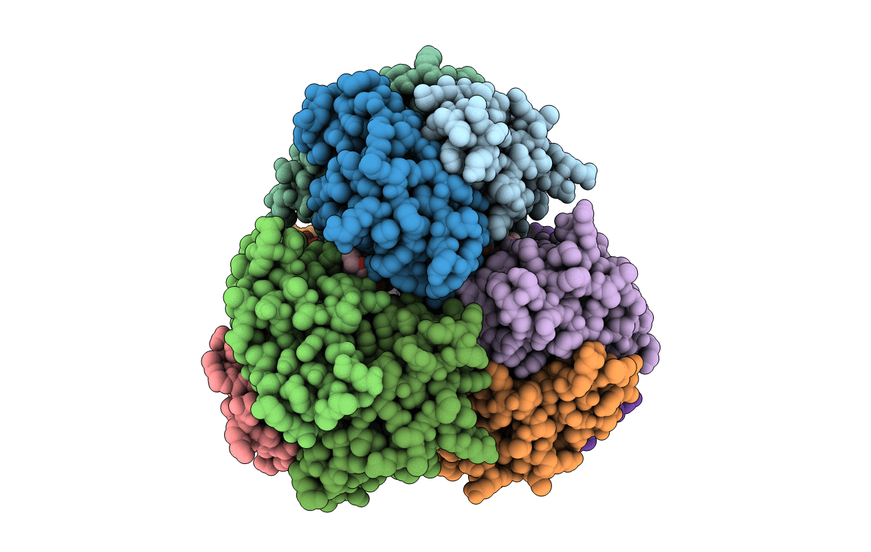 4D1G image
