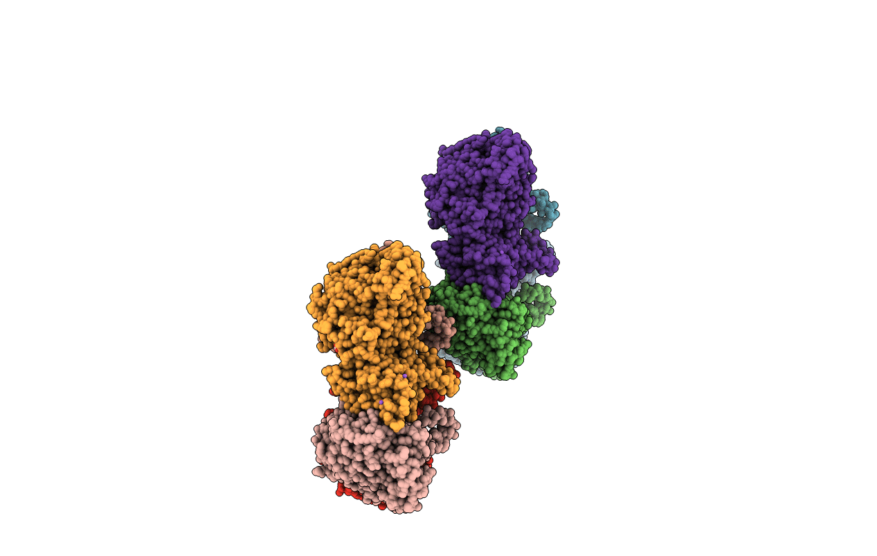 4D1J image