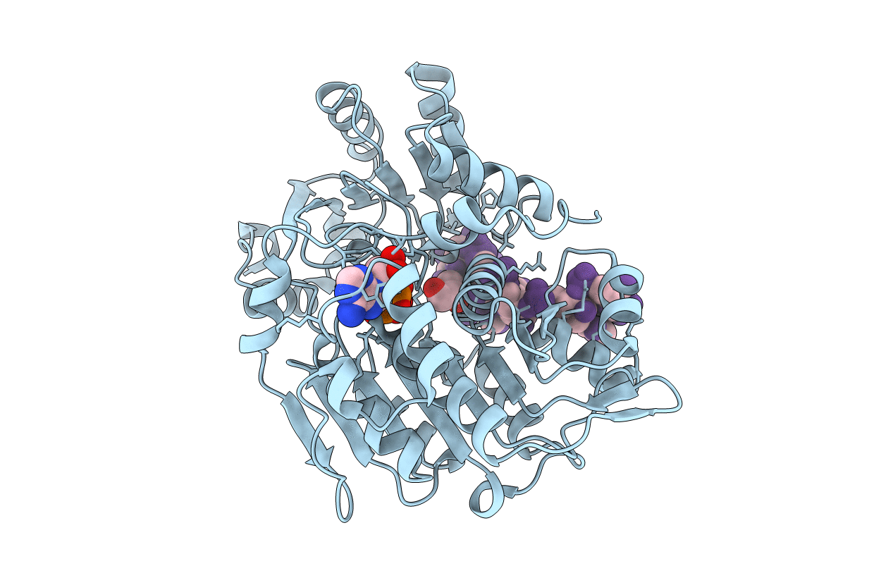 4D25 image