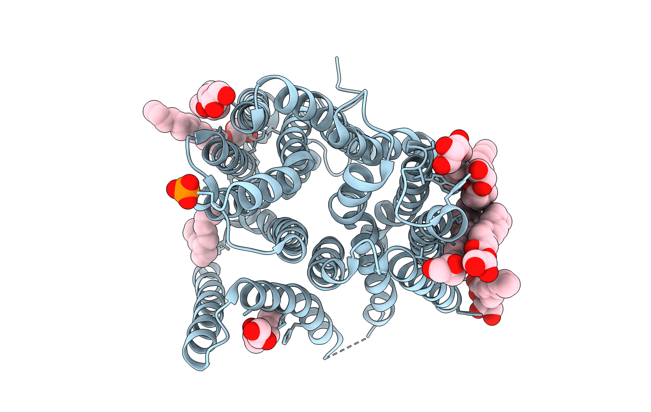 4D2B image