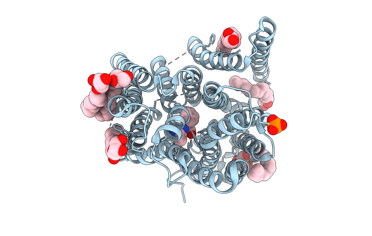 4D2C image