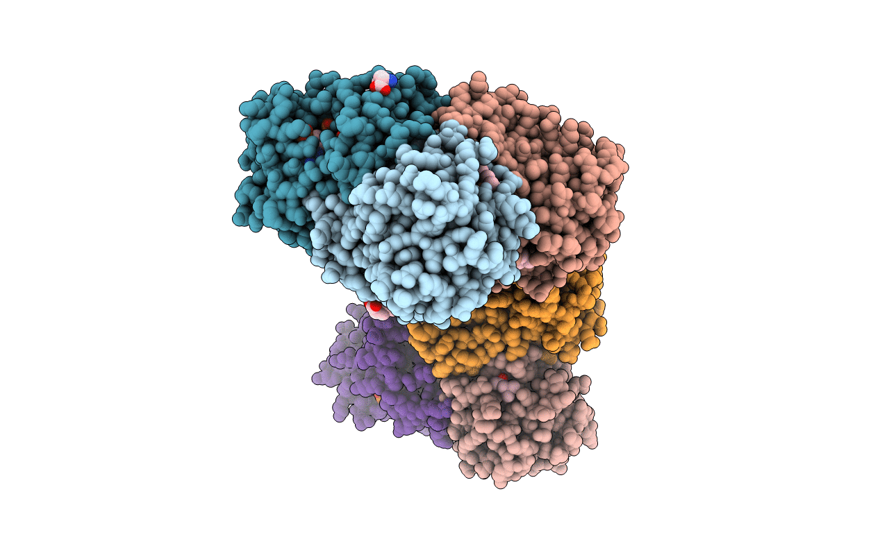 4D43 image