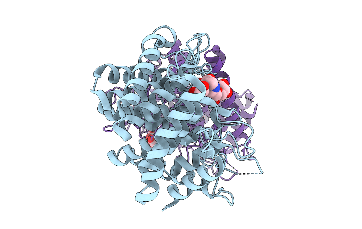 4D4C image