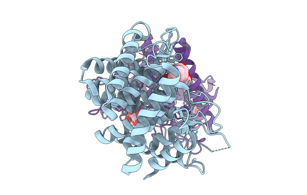 4D4D image