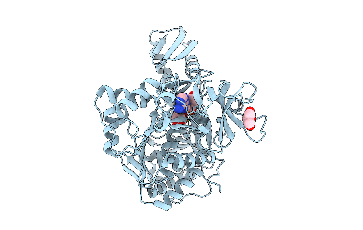 4D4G image