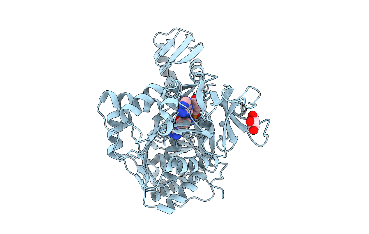 4D4I image