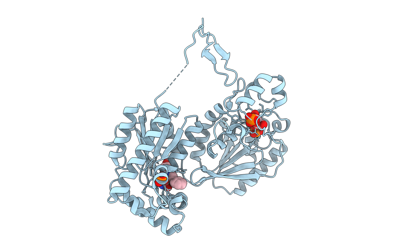 4D4K image