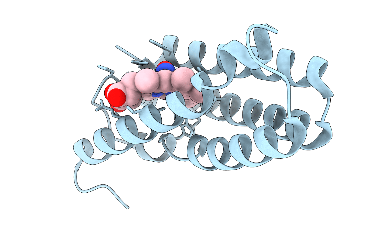 4D4N image