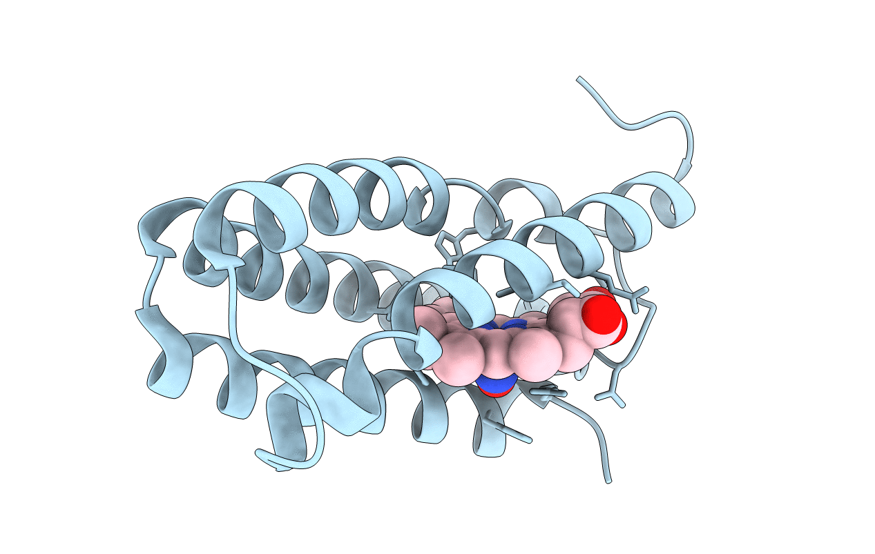 4D4X image