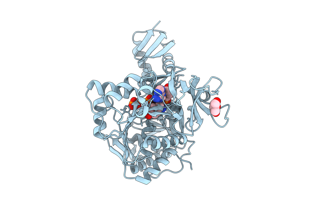 4D56 image