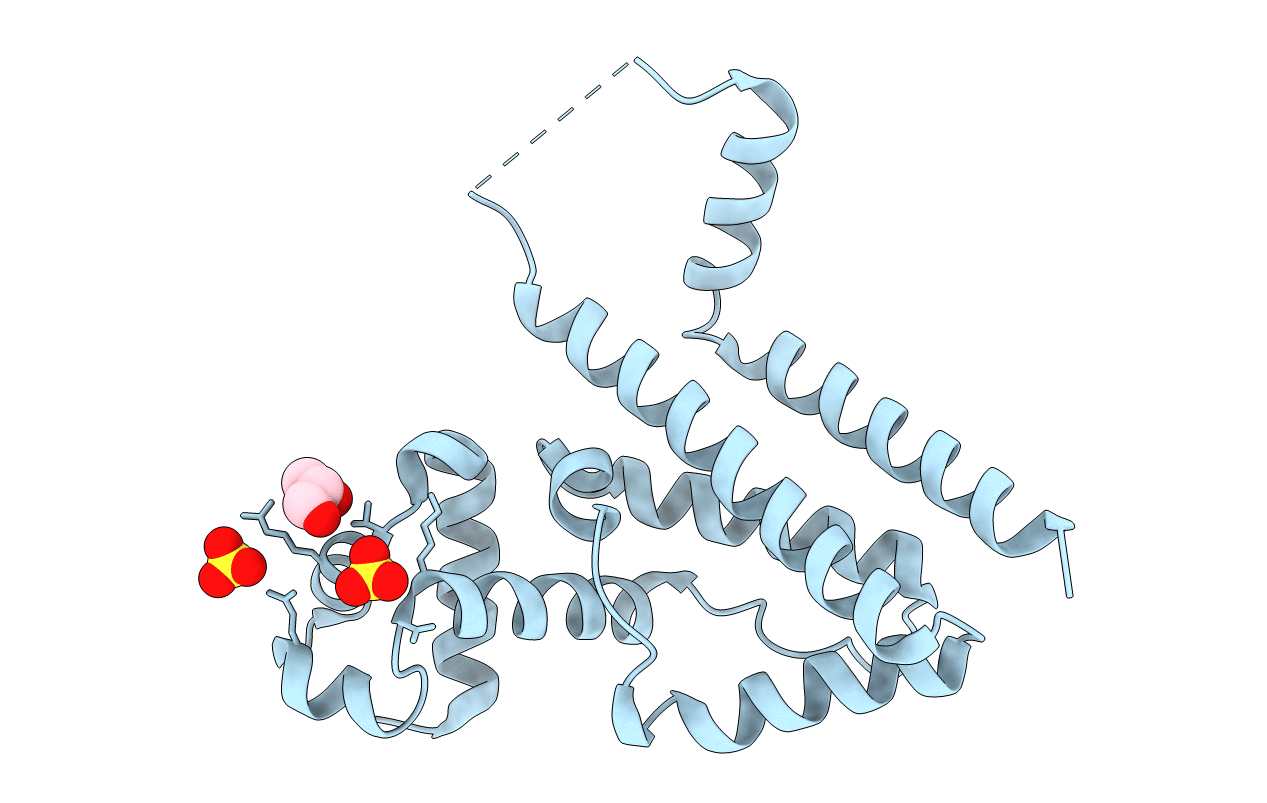 4D5F image