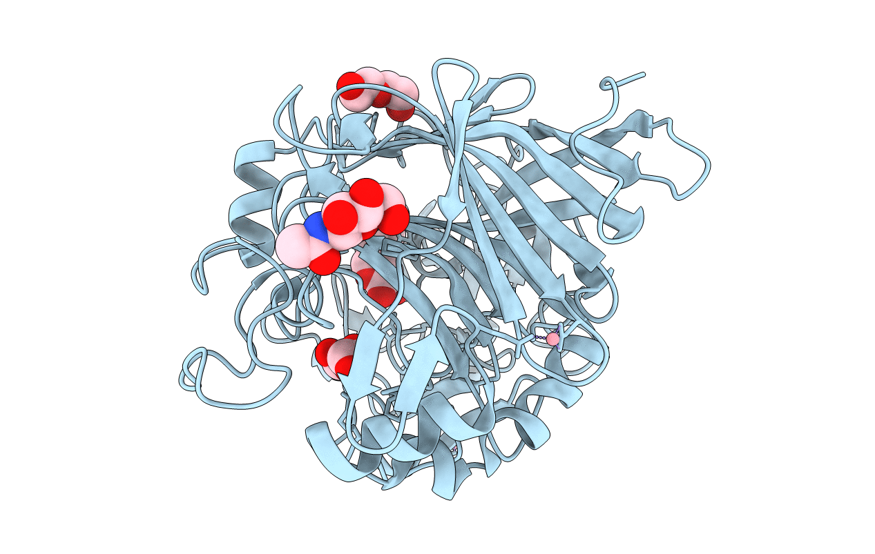4D5I image