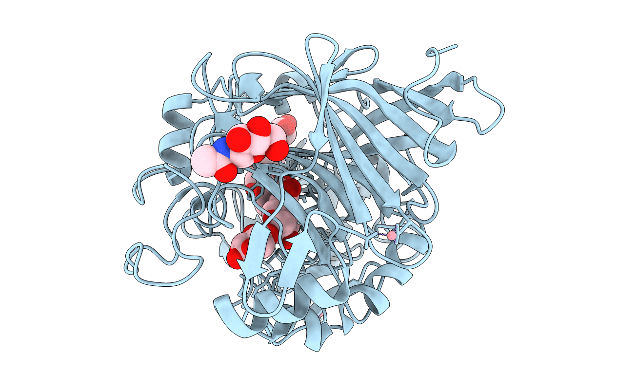 4D5Q image