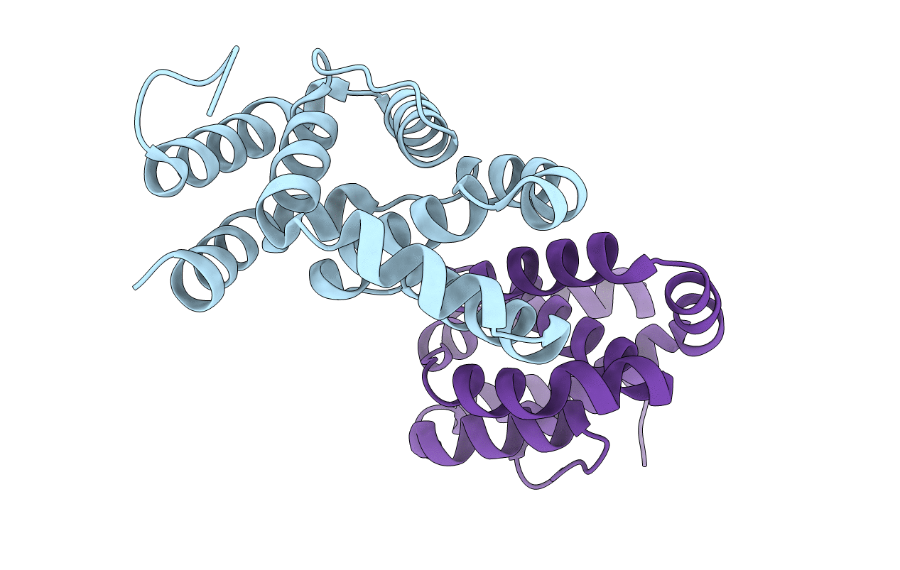 4D5R image