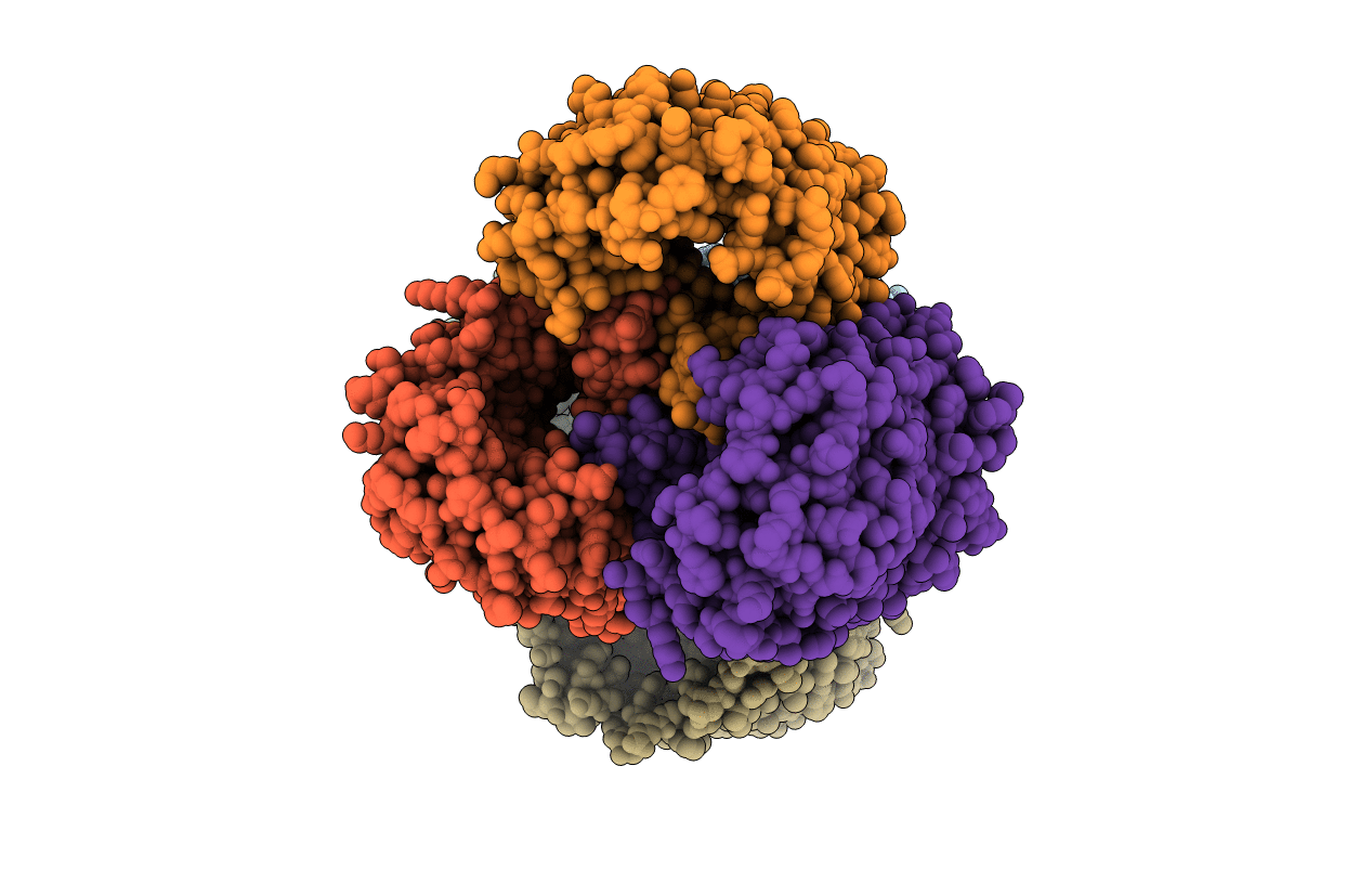 4D5U image