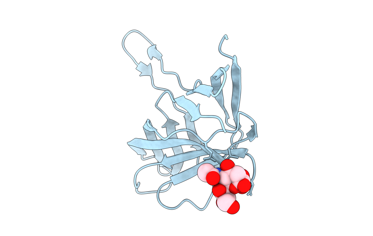 4D62 image
