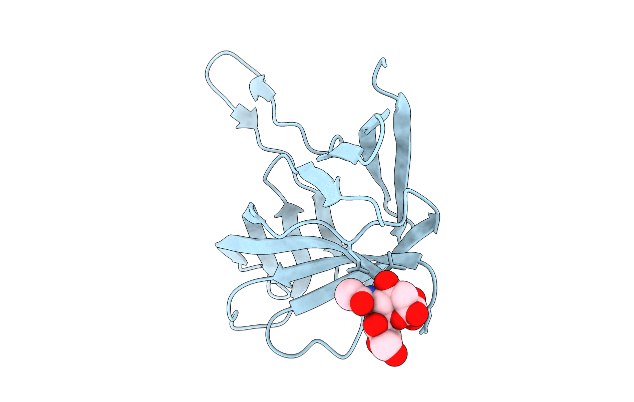4D63 image