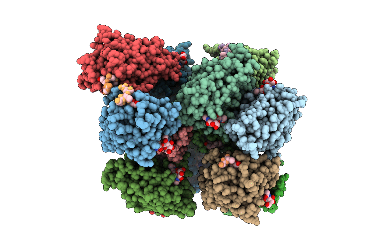 4D69 image
