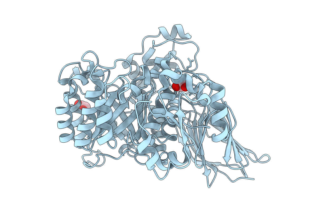 4D6C image