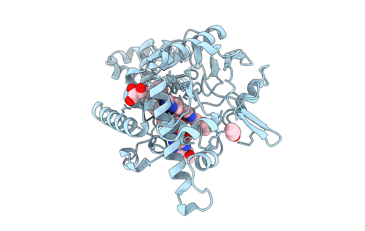 4D7H image