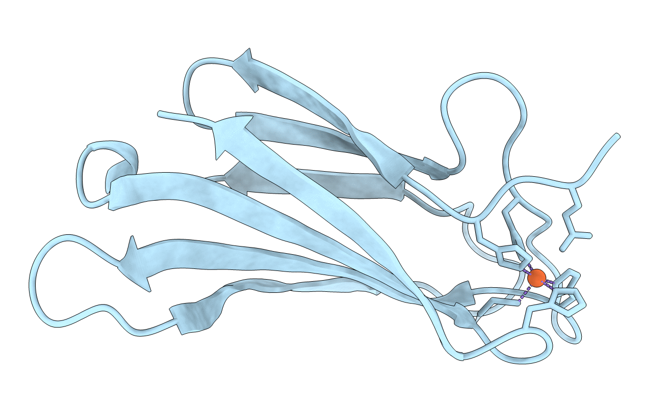 4D7P image