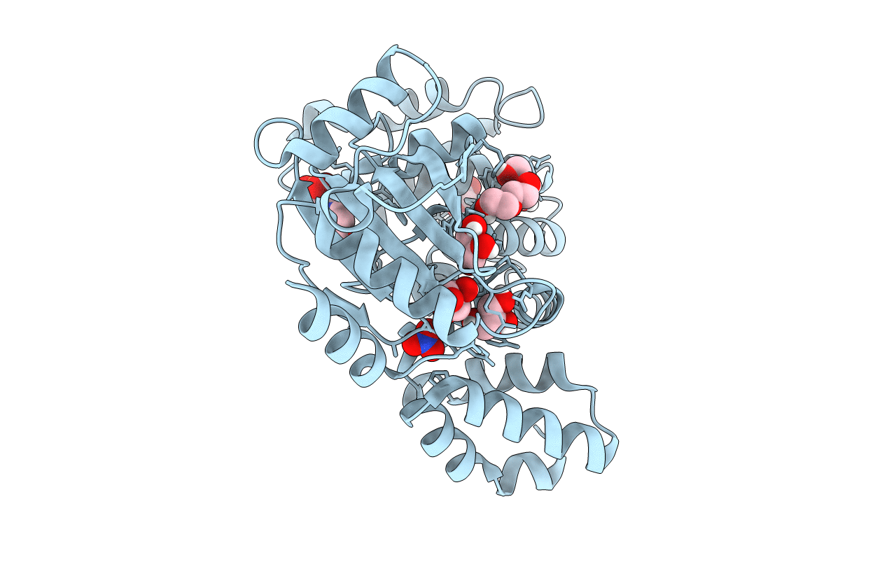 4D7Q image