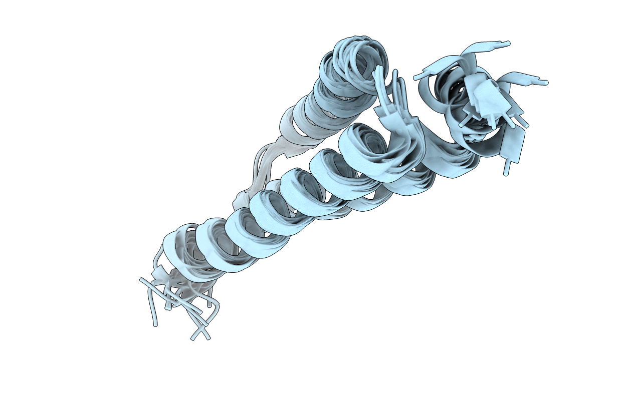 4D7X image
