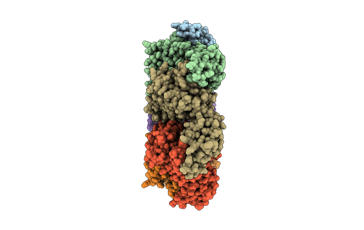 4D80 image
