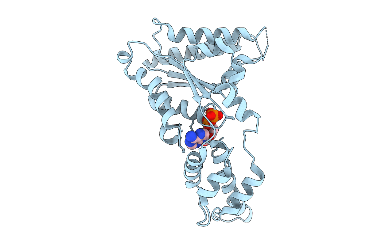 4D81 image