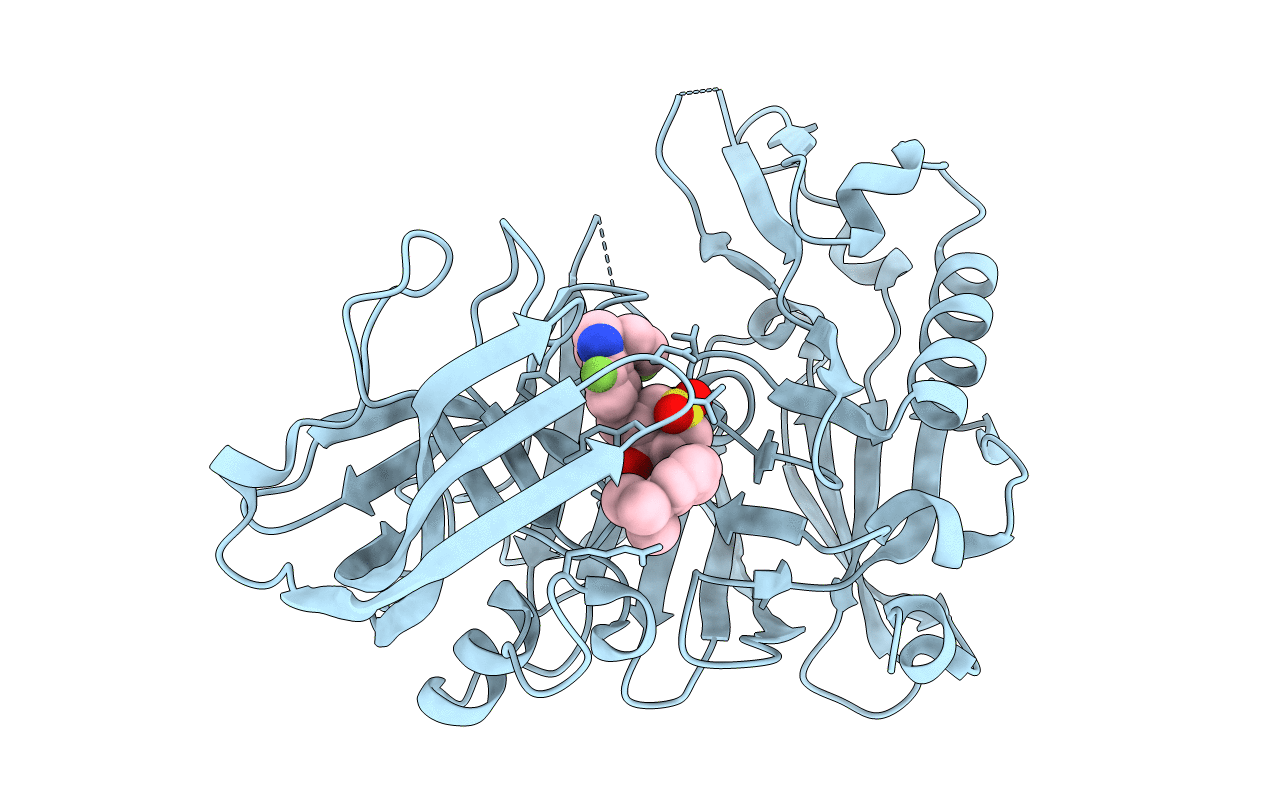 4D85 image