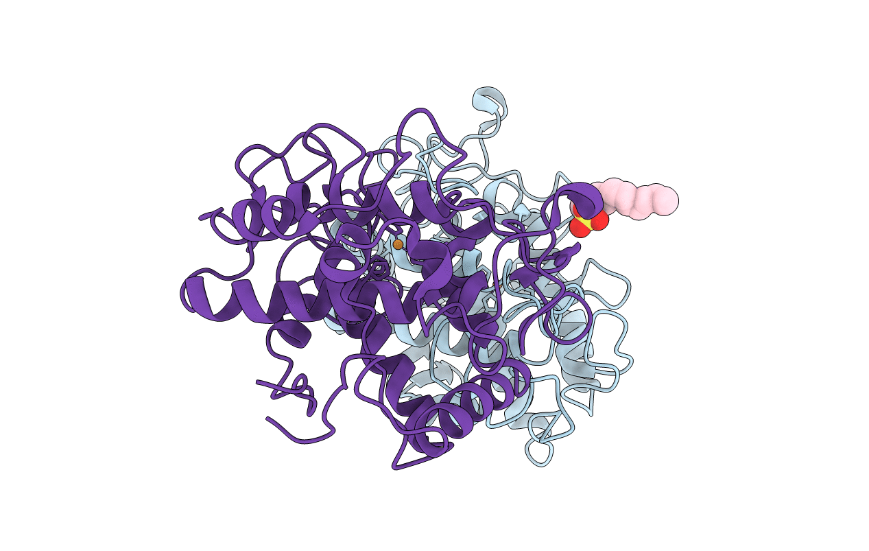 4D87 image