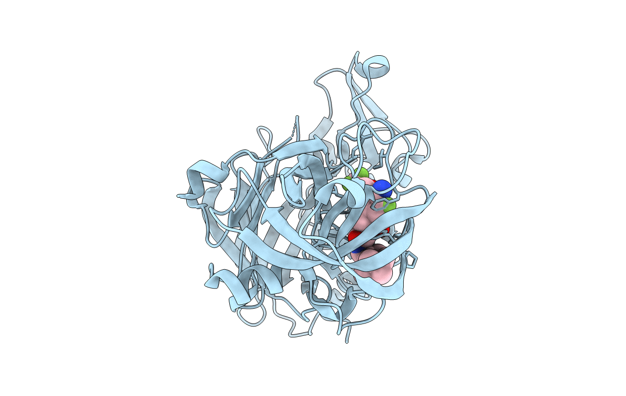 4D88 image