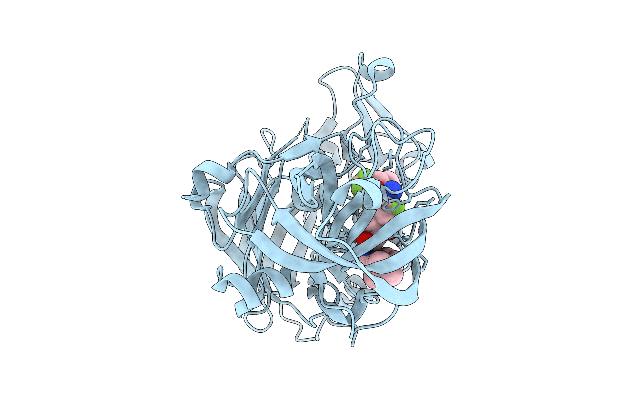 4D89 image