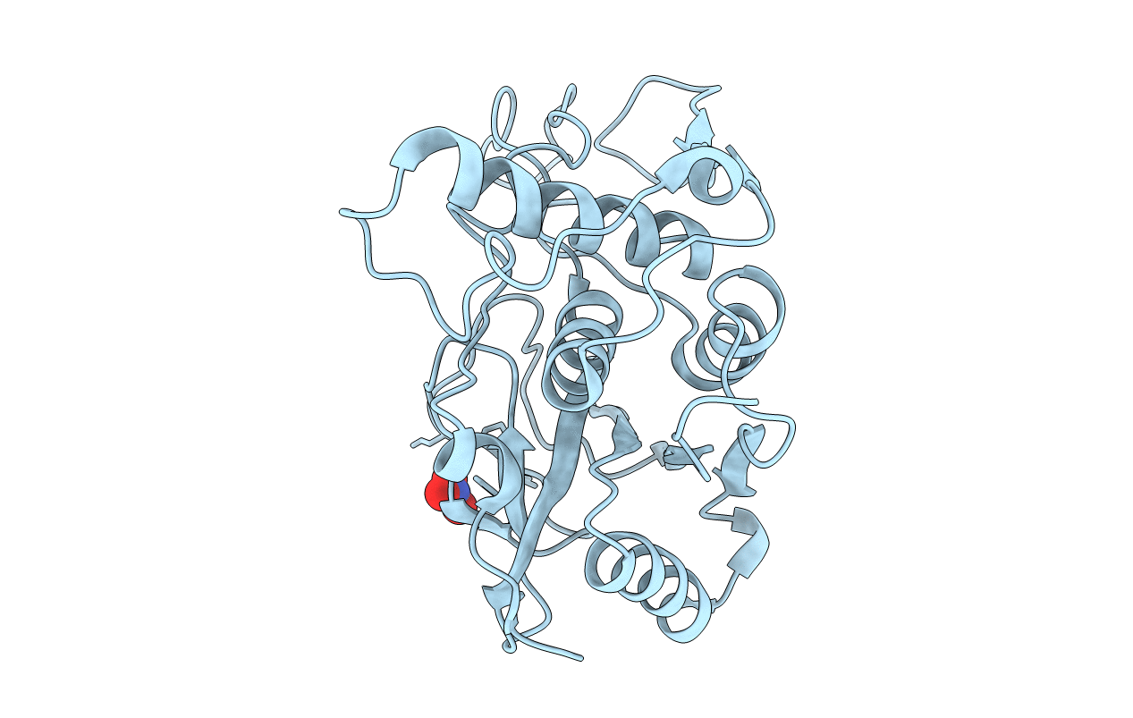 4D8B image
