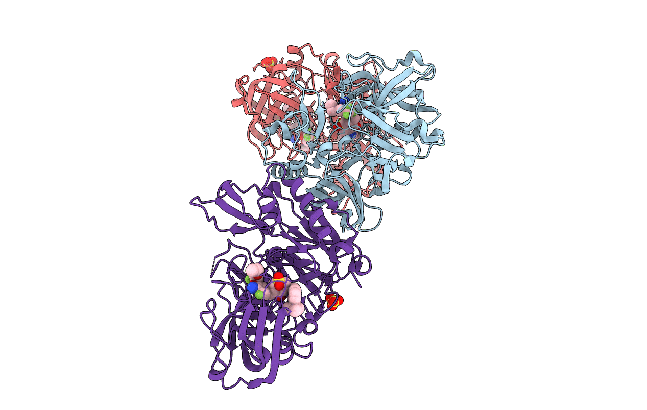 4D8C image