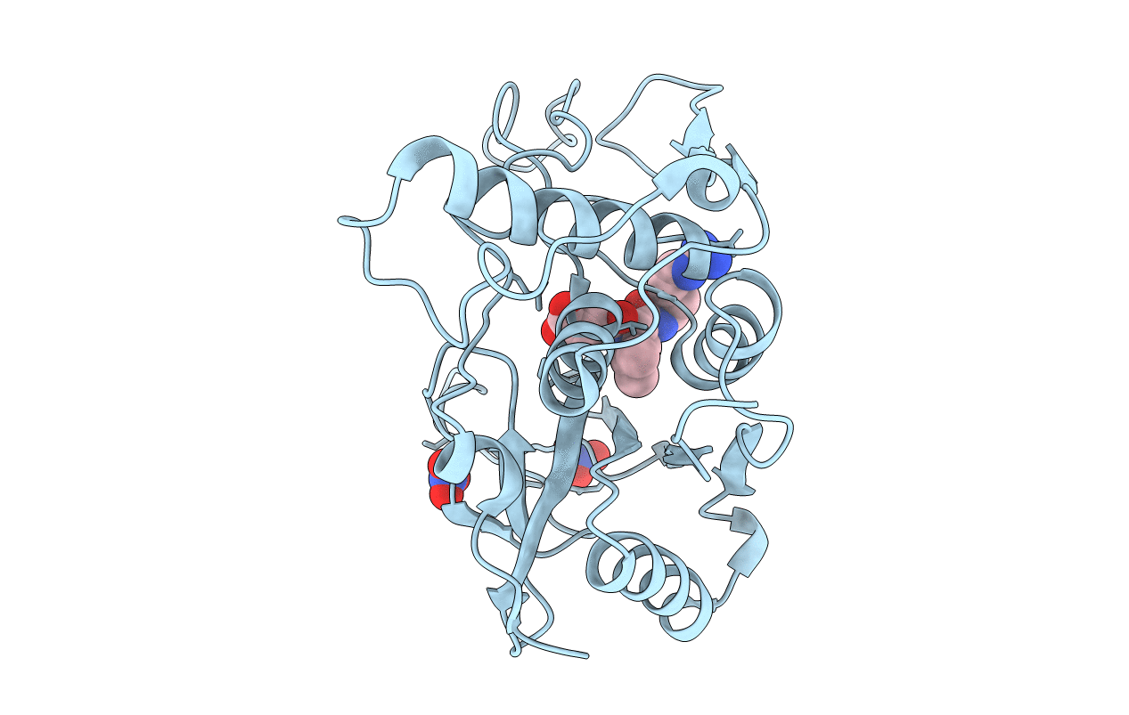 4D8E image