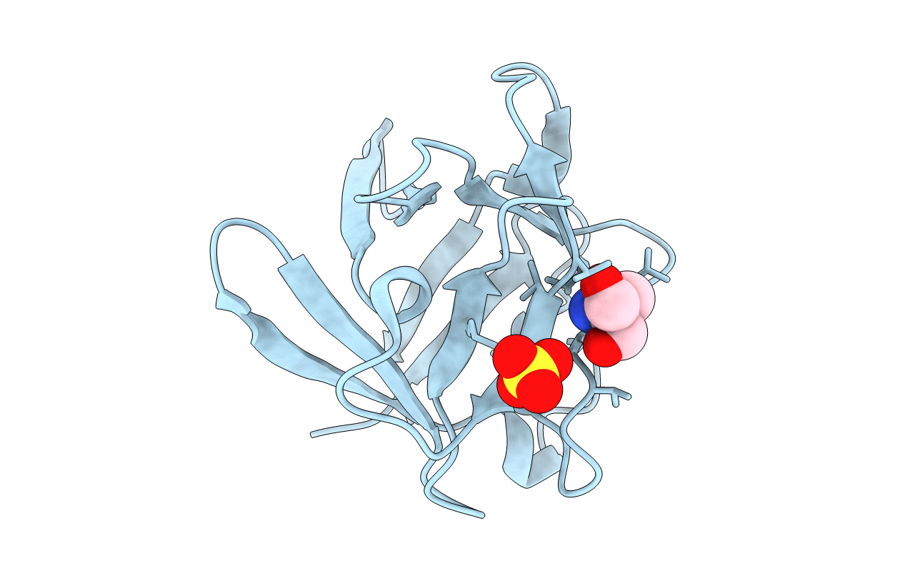 4D8H image