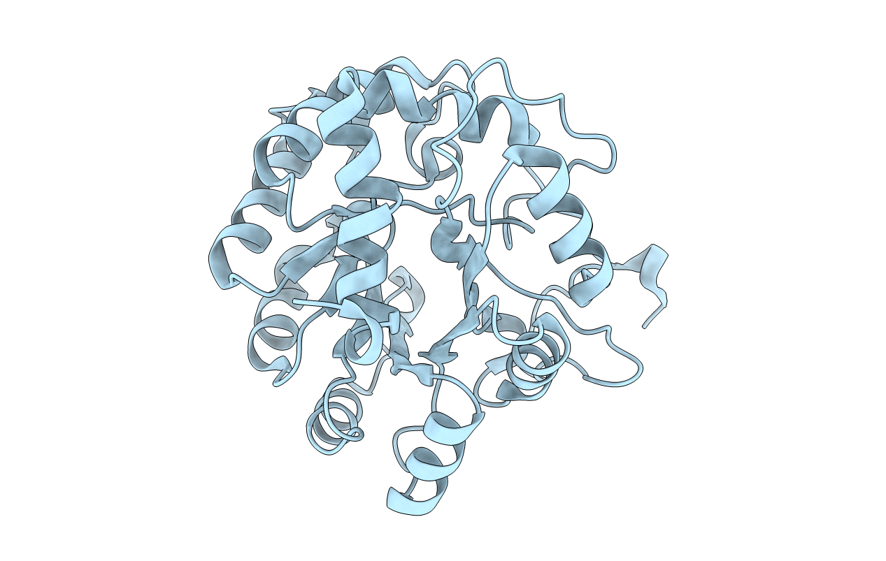 4D8L image