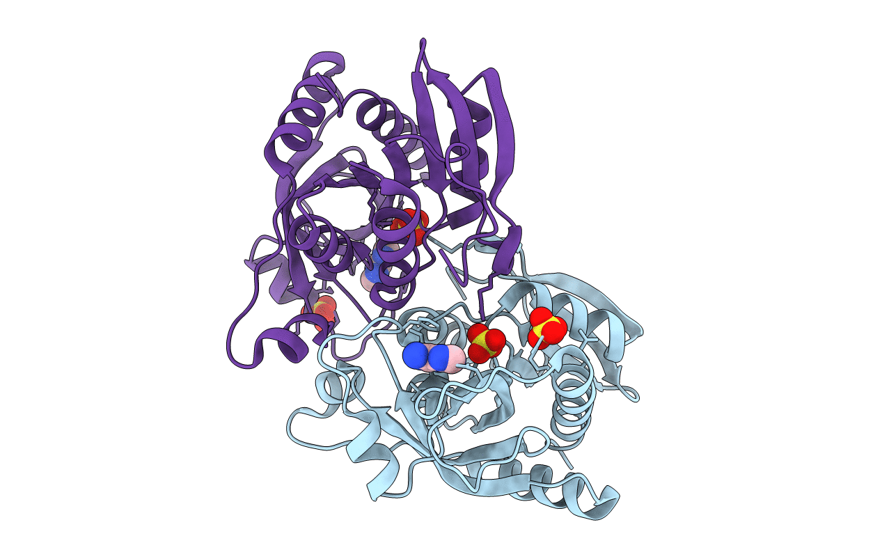 4D8V image