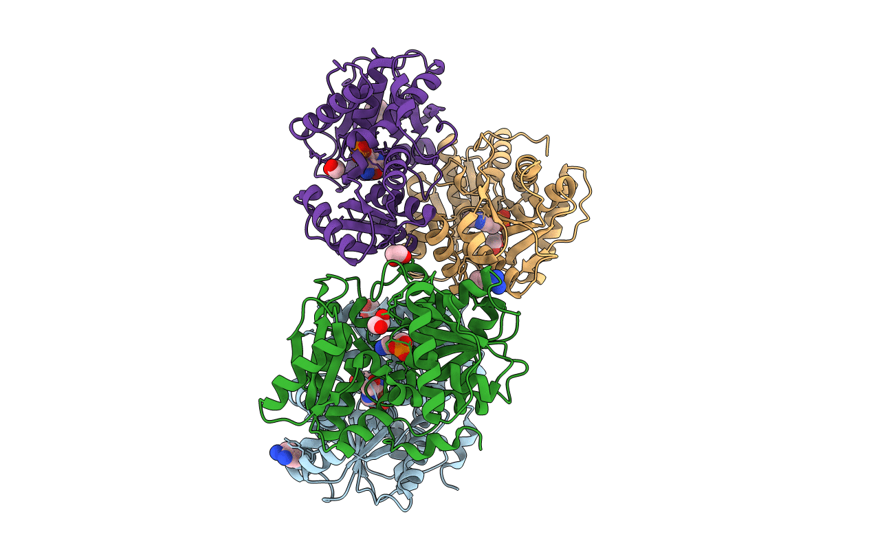 4D9B image