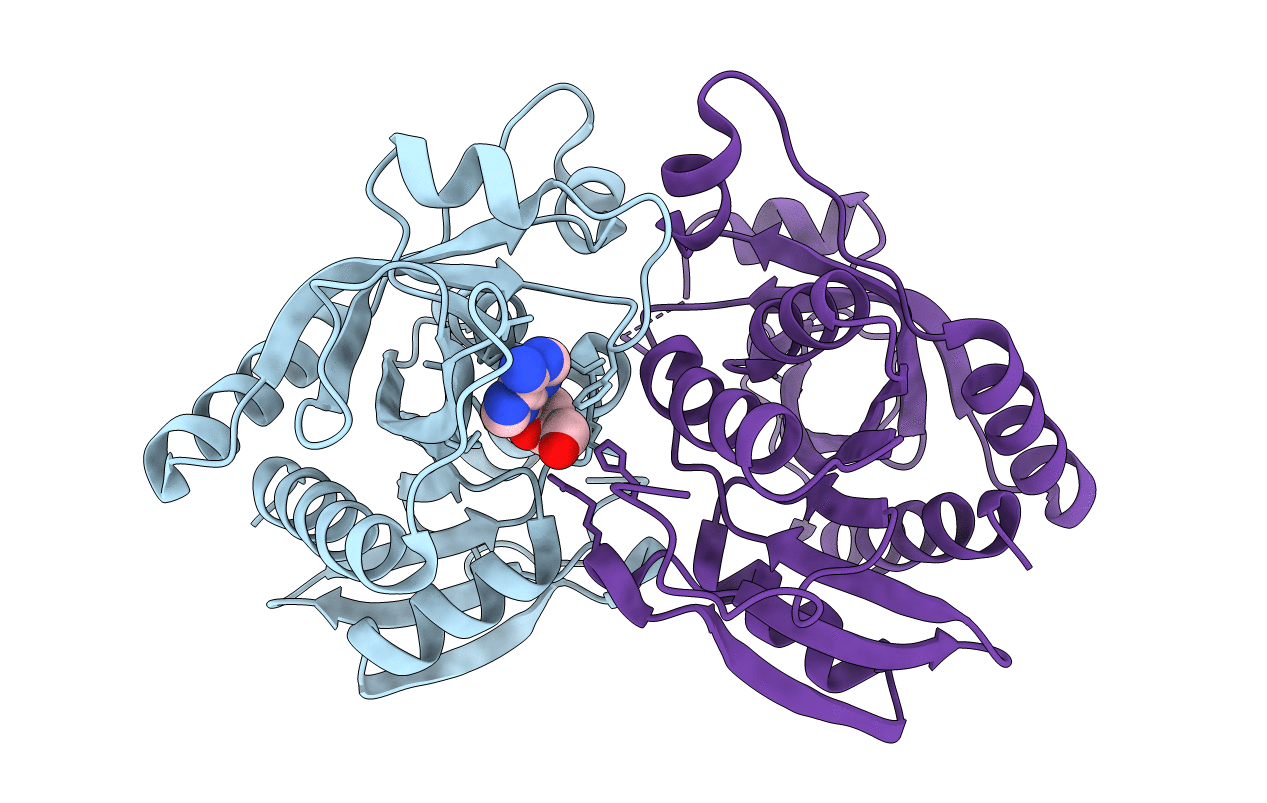 4D9H image