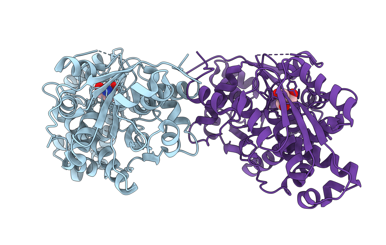 4D9I image
