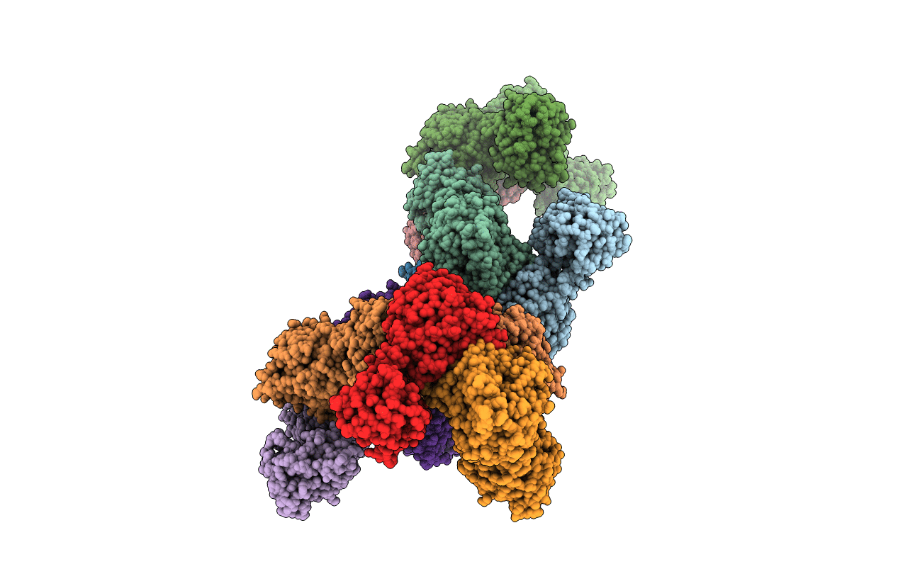 4D9J image